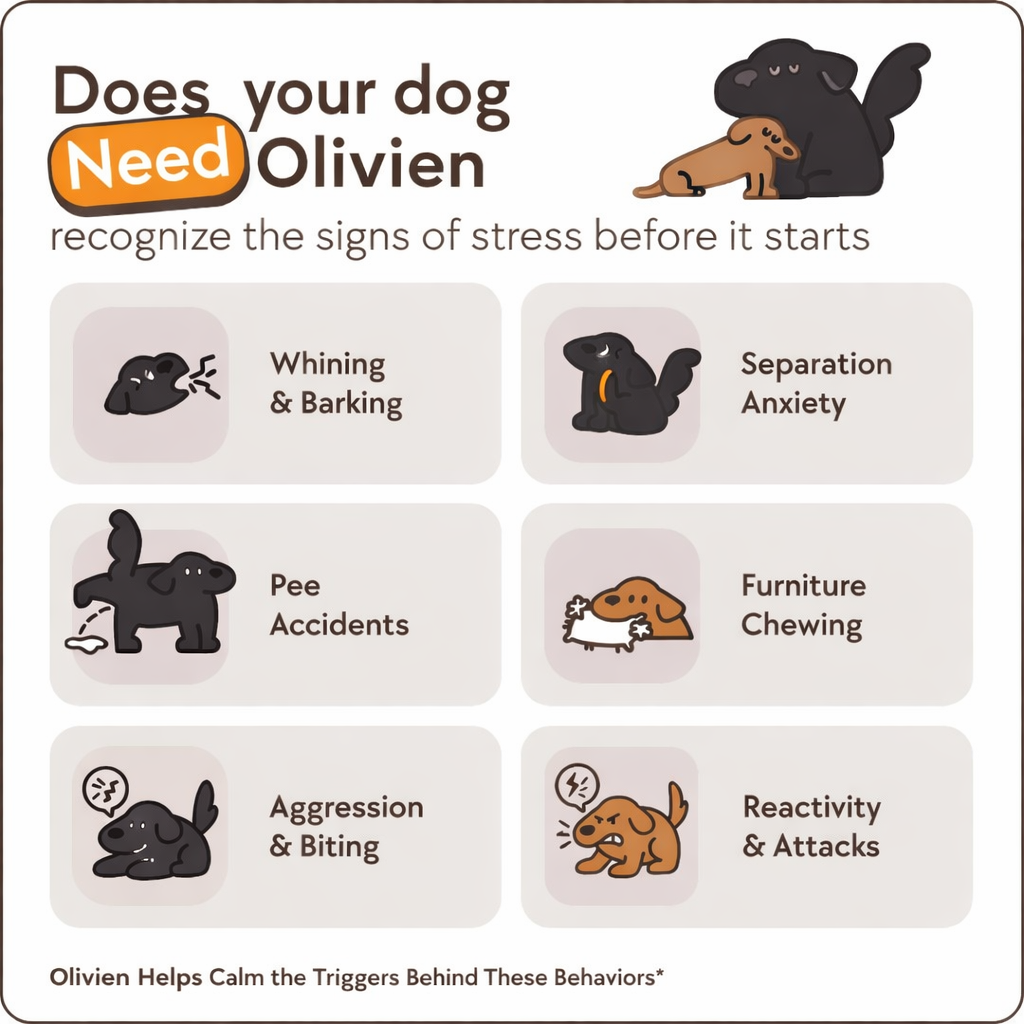 The Dog Calming Diffuser Kit