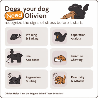The Dog Calming Diffuser Kit