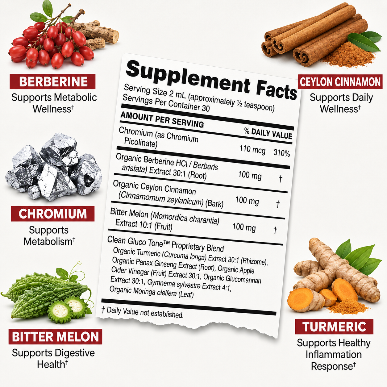 Berberine Metabolic Support Drops with Ceylon Cinnamon + Chromium