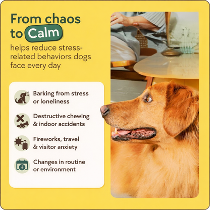 The Dog Calming Diffuser Kit